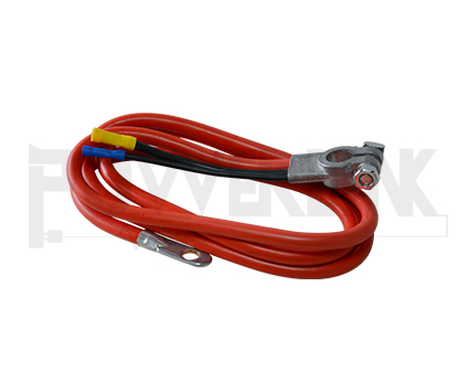 4GA DUAL LEAD CABLE